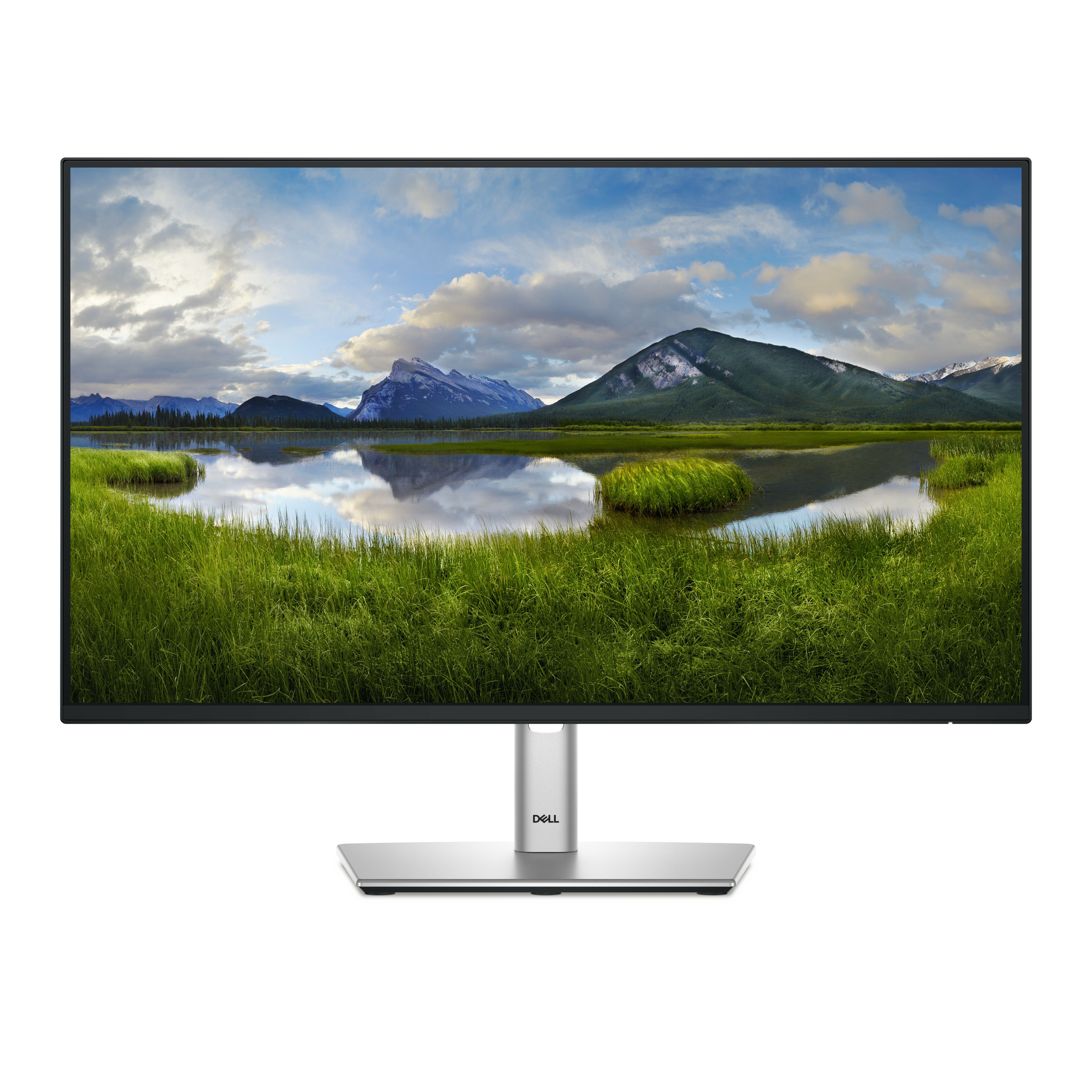 Monitor 23.8 inch LED Dell P2425H 1920 x 1080 pixeli, 100 Hz, 5 ms, Negru/Argintiu